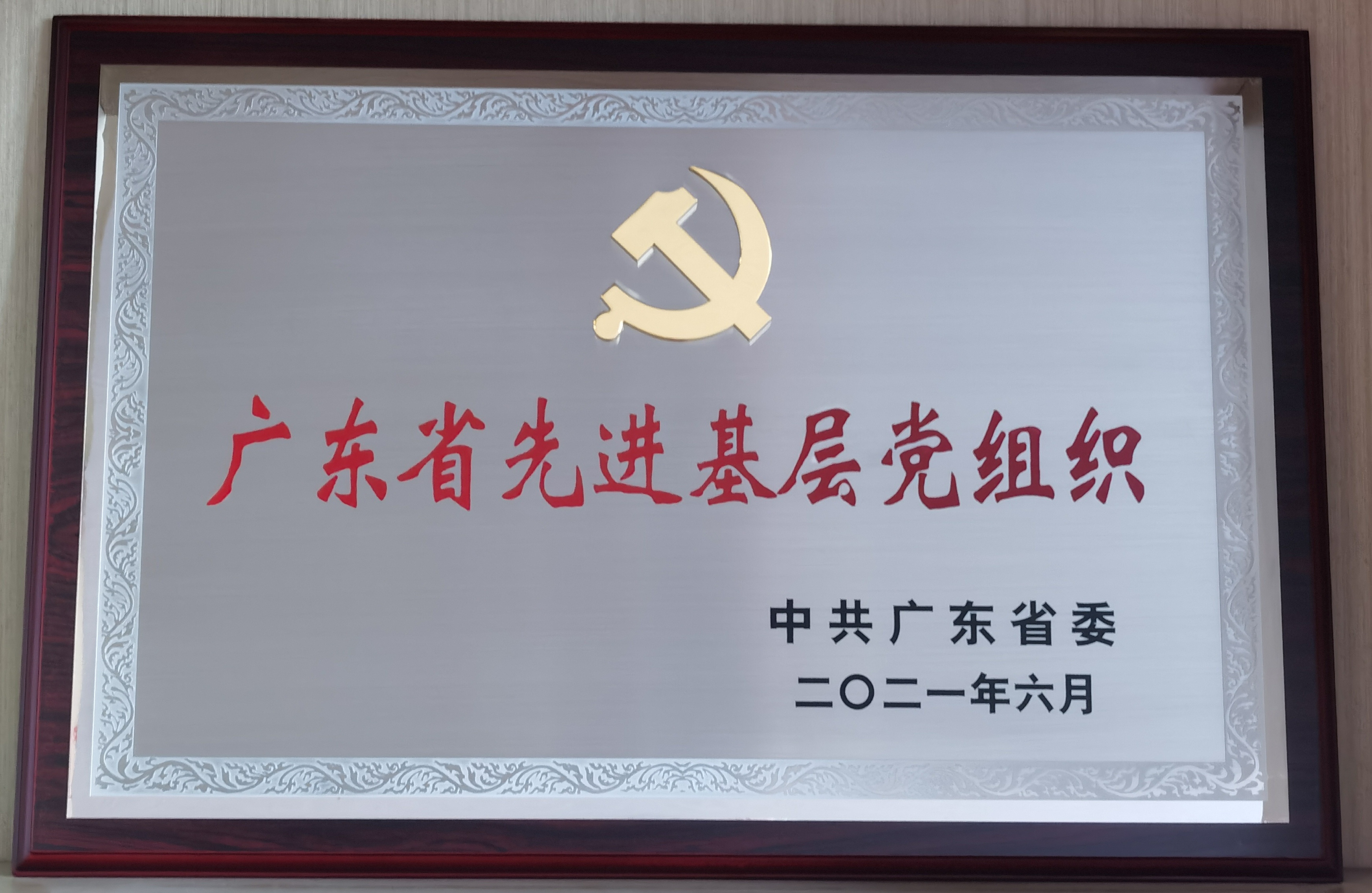 pg糖果派对(中国区)官方网站